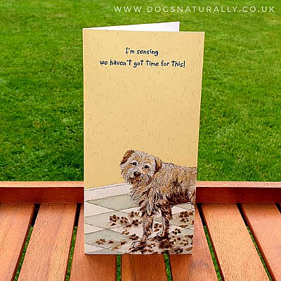 Muddy Floor Fun Dog Lover Card